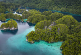 West Papua, Kaimana, Triton Bay 2026 (20/41)